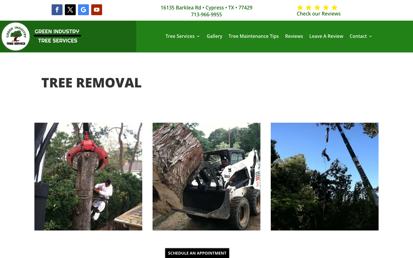 Desktop tree removal services page, captured September 25 2026